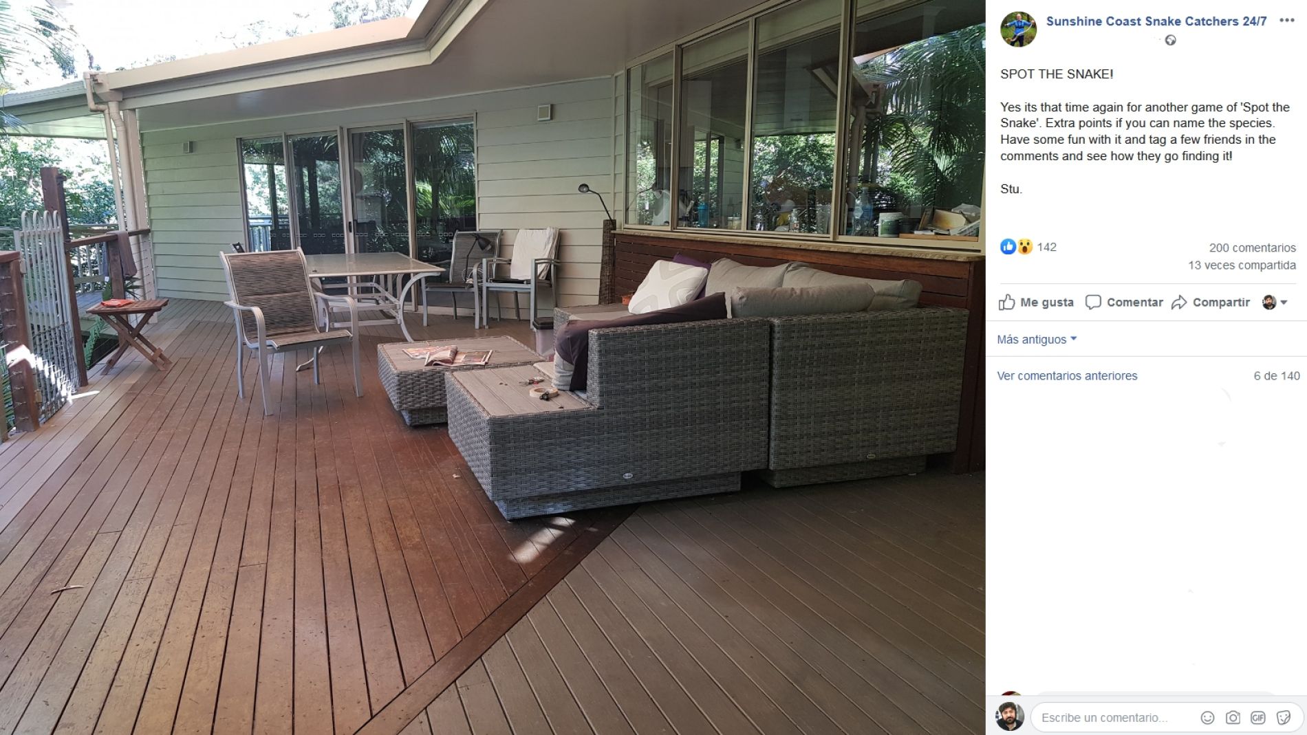 Serpiente escondida en el jard&iacute;n