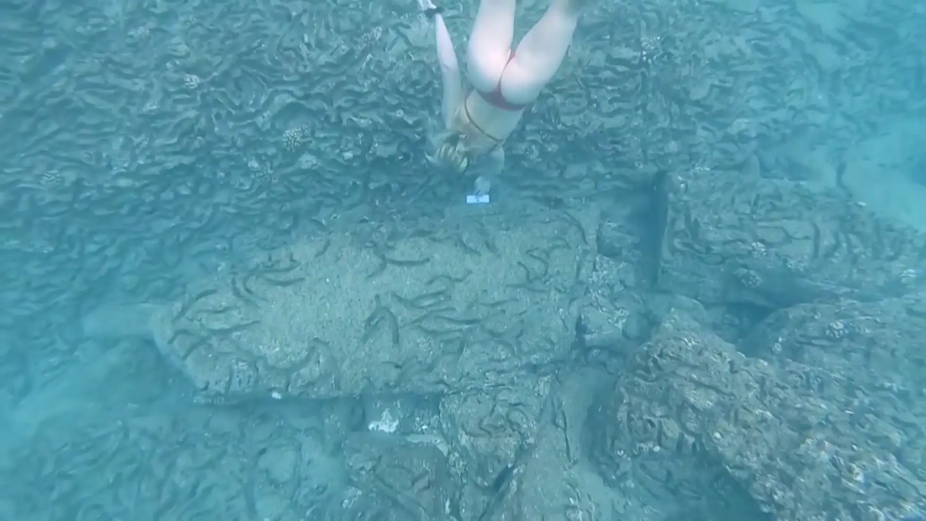 Encuentran un iPhone bajo el agua