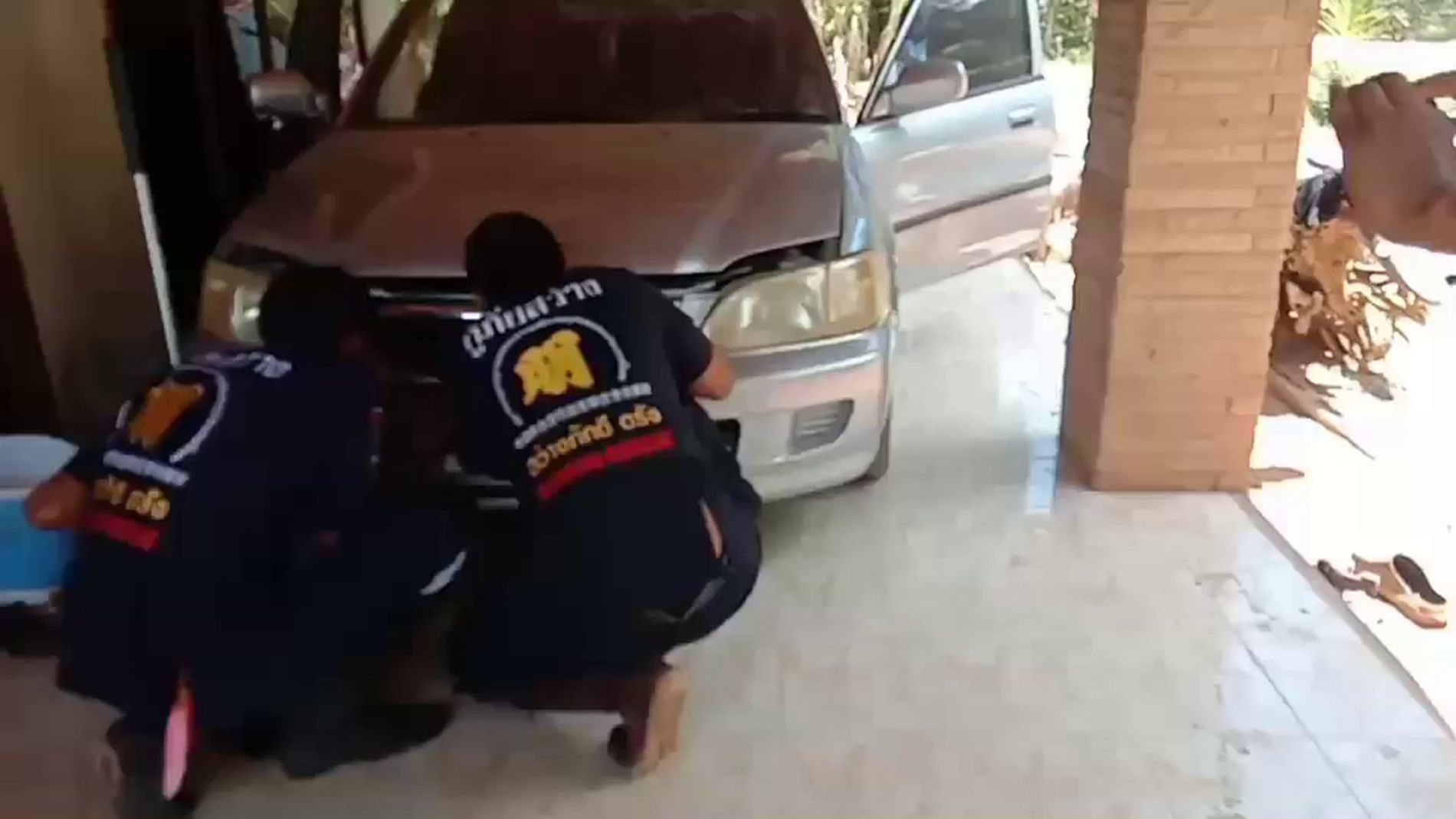 Una serpiente escondida en el motor