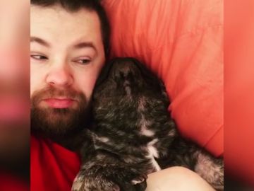 Este perro ronca como si no hubiera un mañana