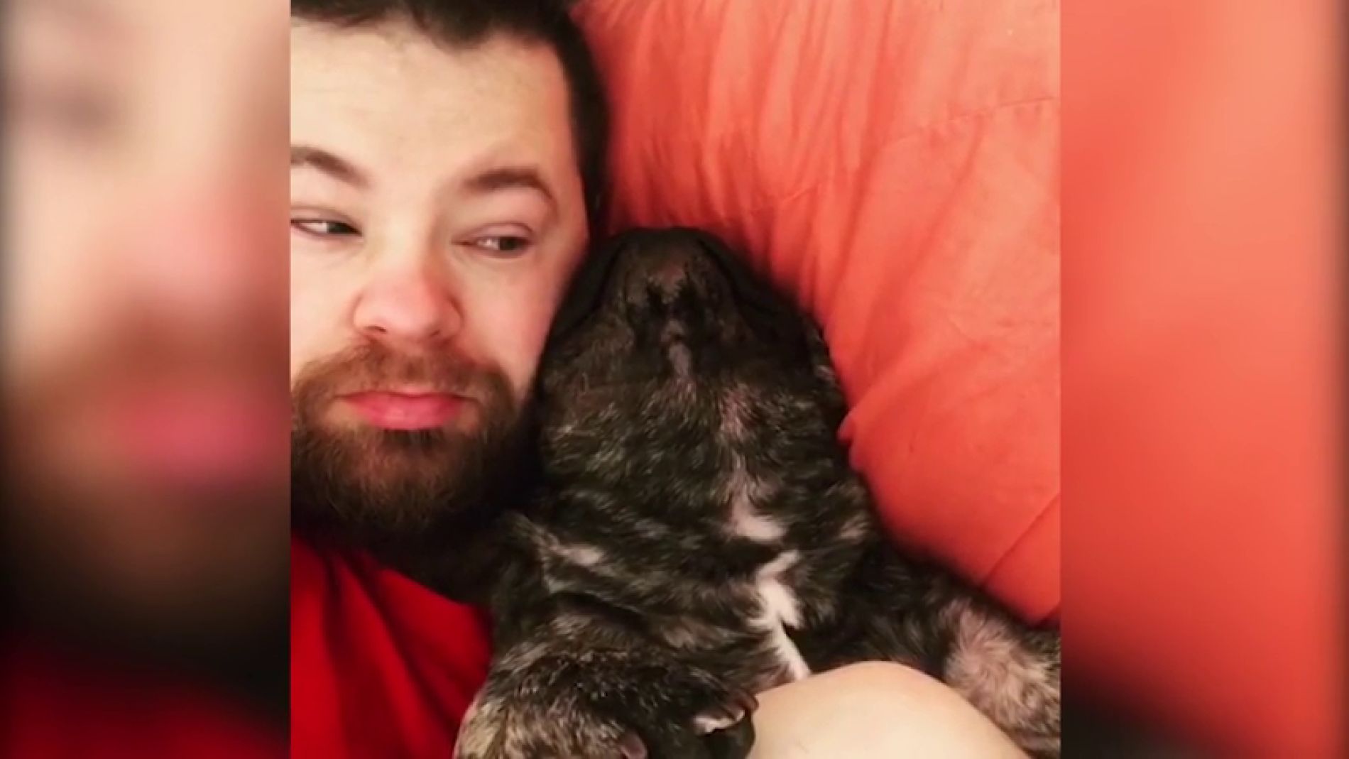 Este perro ronca como si no hubiera un ma&ntilde;ana