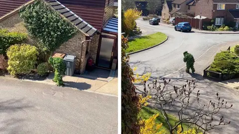 Se salta la cuarentena disfrazado de arbusto Se salta la cuarentena disfrazado de arbusto