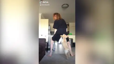 Perro mordiendo el culo a su dueño Perro mordiendo el culo a su dueño