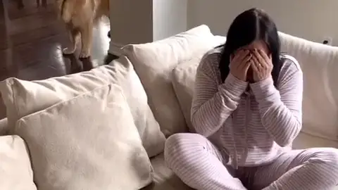 Perro consuela a su dueña Perro consuela a su dueña