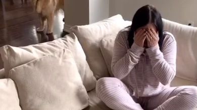VÍDEO: Un perro corre a consolar a su dueña que llora durante la cuarentena