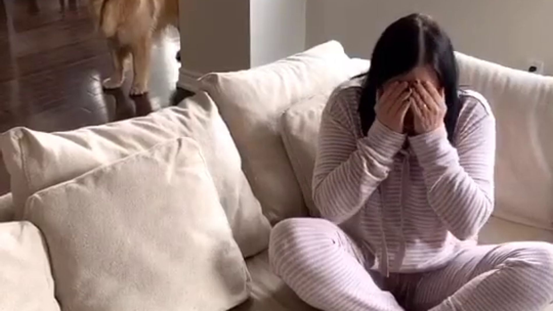 Perro consuela a su due&ntilde;a