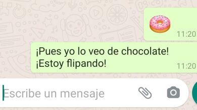 ¿Cómo ves el Donut en WhatsApp, de chocolate o de fresa?