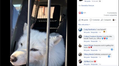 Llamó a la policía para que viniesen a recoger a un perro extraviado y se llevaron una gran sorpresa al llegar