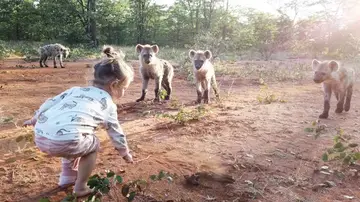 Niña jugando con hienas