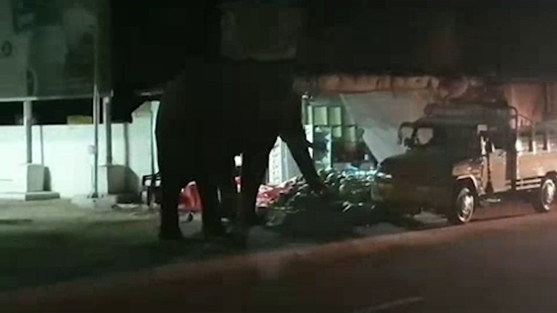 Elefante robando melones