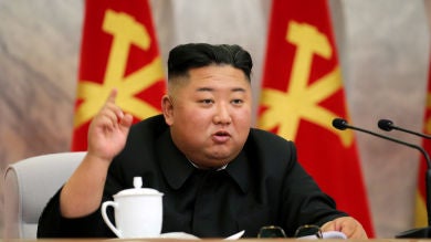 Dangogi, comer carne de perro