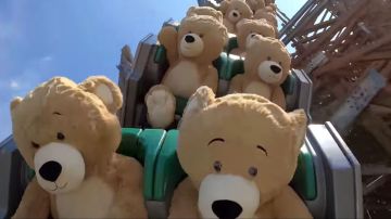Unos peluches disfrutando de una montaña rusa. ¡No se ve todos los días!