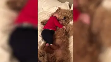 Bebé y perro abrazándose