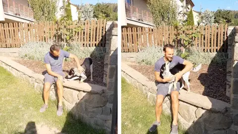 Perro abraza a su dueño Perro abraza a su dueño