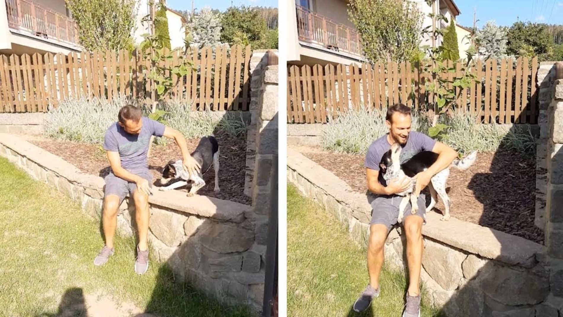Perro abraza a su due&ntilde;o