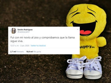 Tuit de @sandrarodrii1