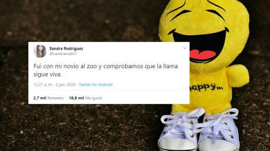 25 tuits de humor con juegos de palabras para partirte de risa