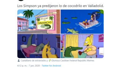 Los mejores memes del cocodrilo del Nilo que anda suelto por el Pisuerga