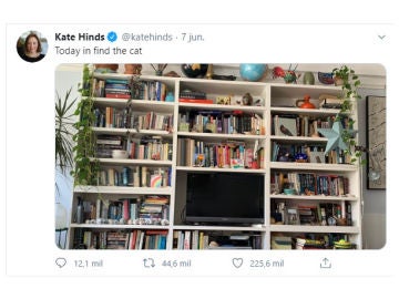 Tuit de @katehinds