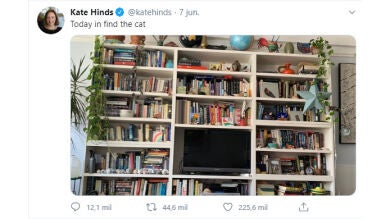 Nuevo reto visual: ¿Eres capaz de encontrar al gato escondido en esta estantería? 