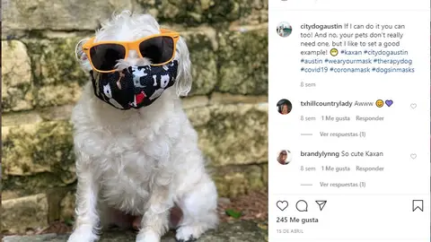 Instagram de @citydougaustin Instagram de @citydougaustin