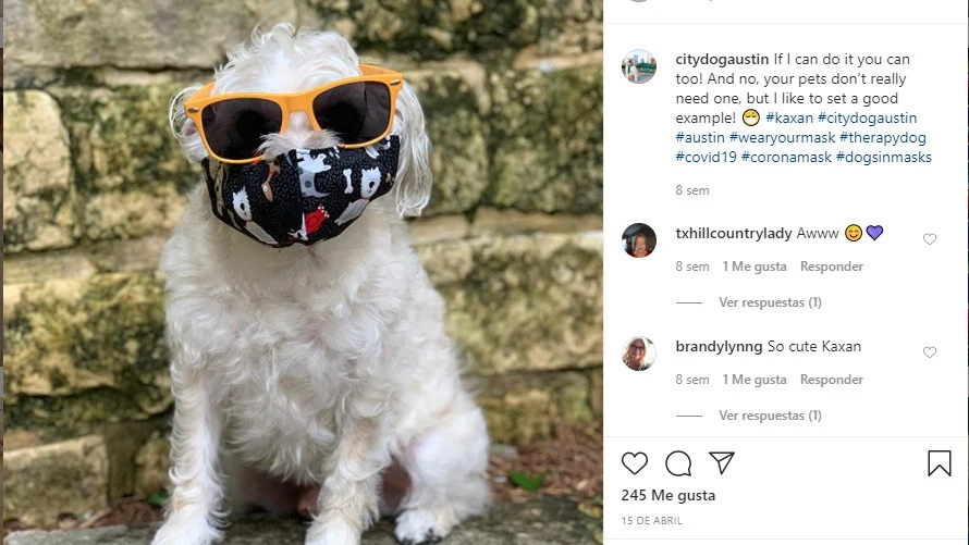 Instagram de @citydougaustin