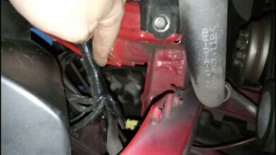VÍDEO: Escucha ruidos en el motor de su coche y encuentra a dos gatitos atrapados