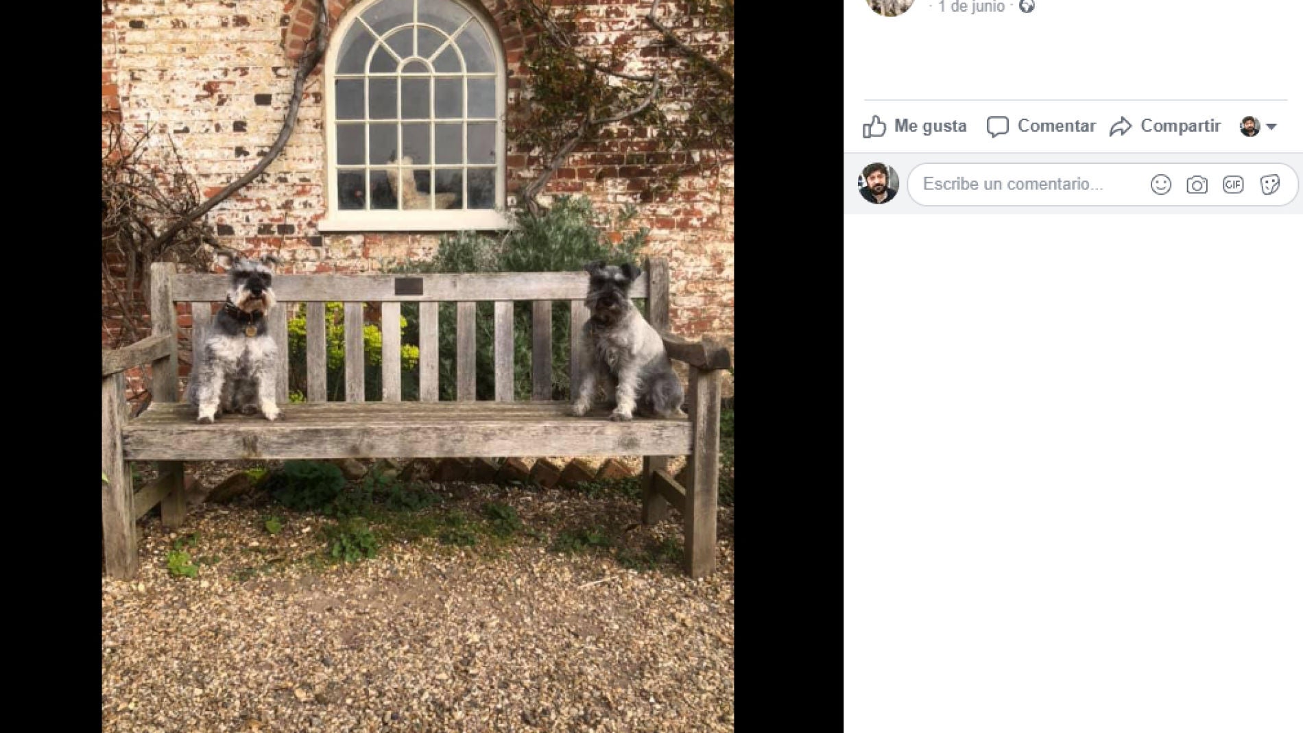 Facebook de Mr Noodles