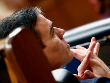 Pedro S&aacute;nchez en el Congreso de los Diputados