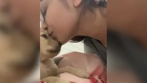 Dueña besa a su perro Dueña besa a su perro