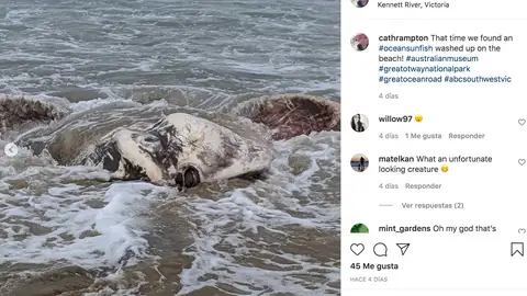 instagram.com/cathrampton instagram.com/cathrampton