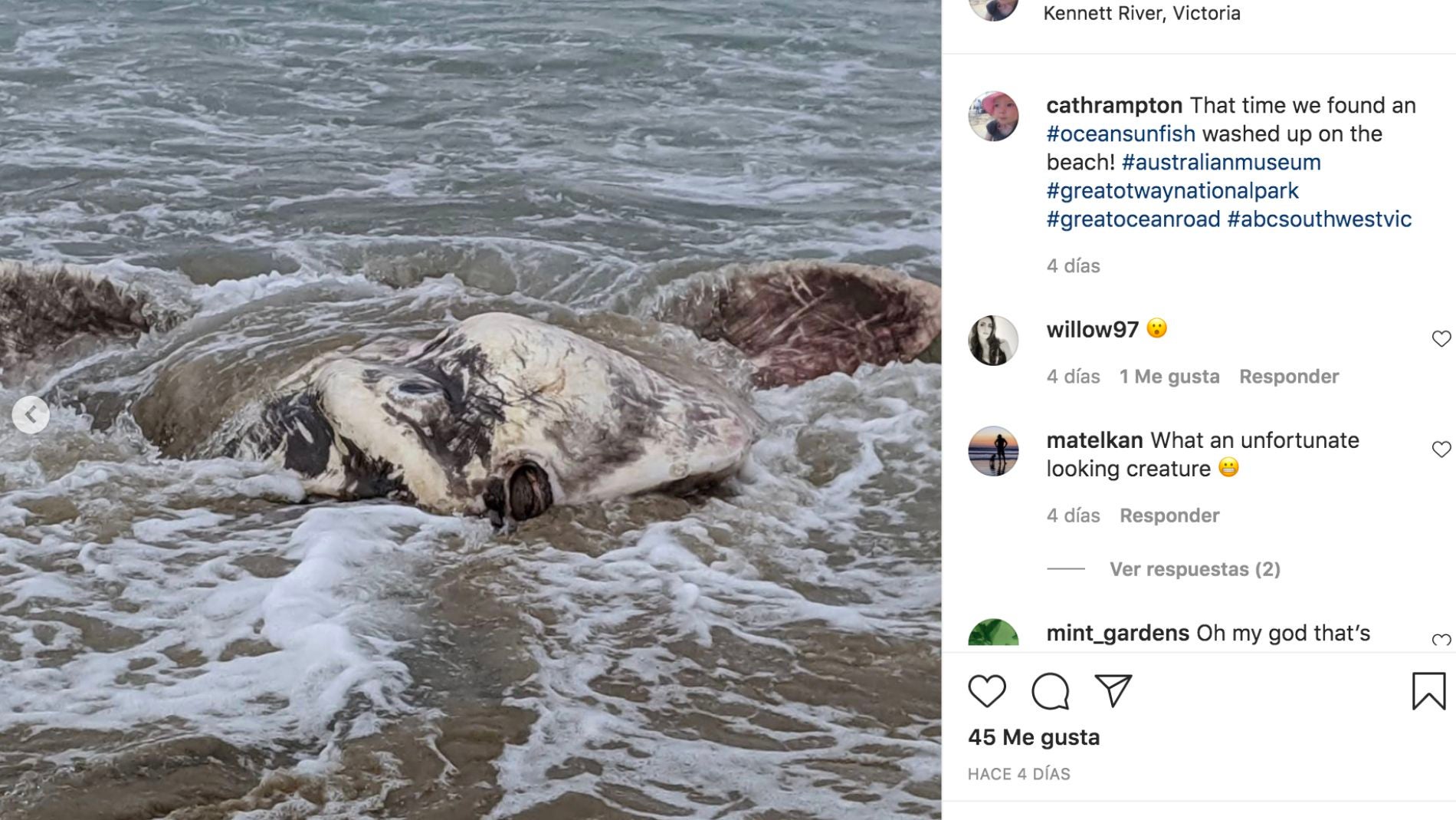  instagram.com/cathrampton