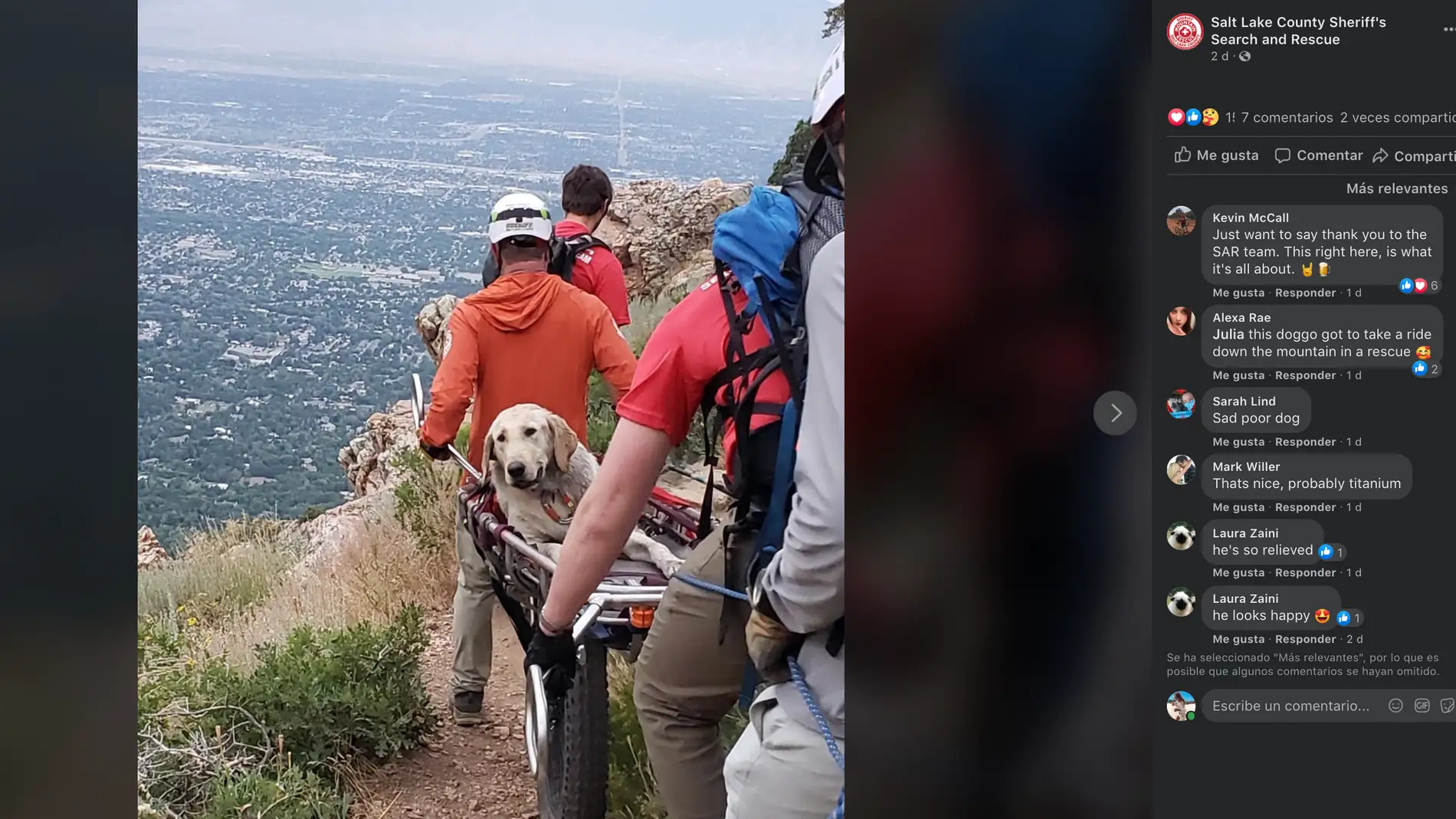 Rescatan a un perro de la montaña