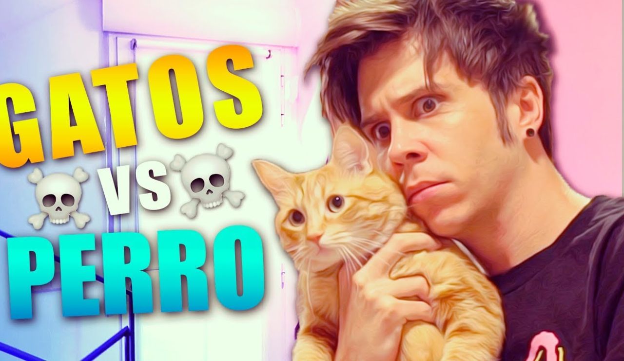 Rubius es más de gatos que de perros