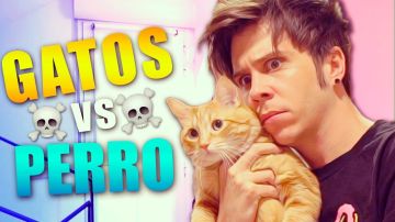 Rubius es más de gatos que de perros