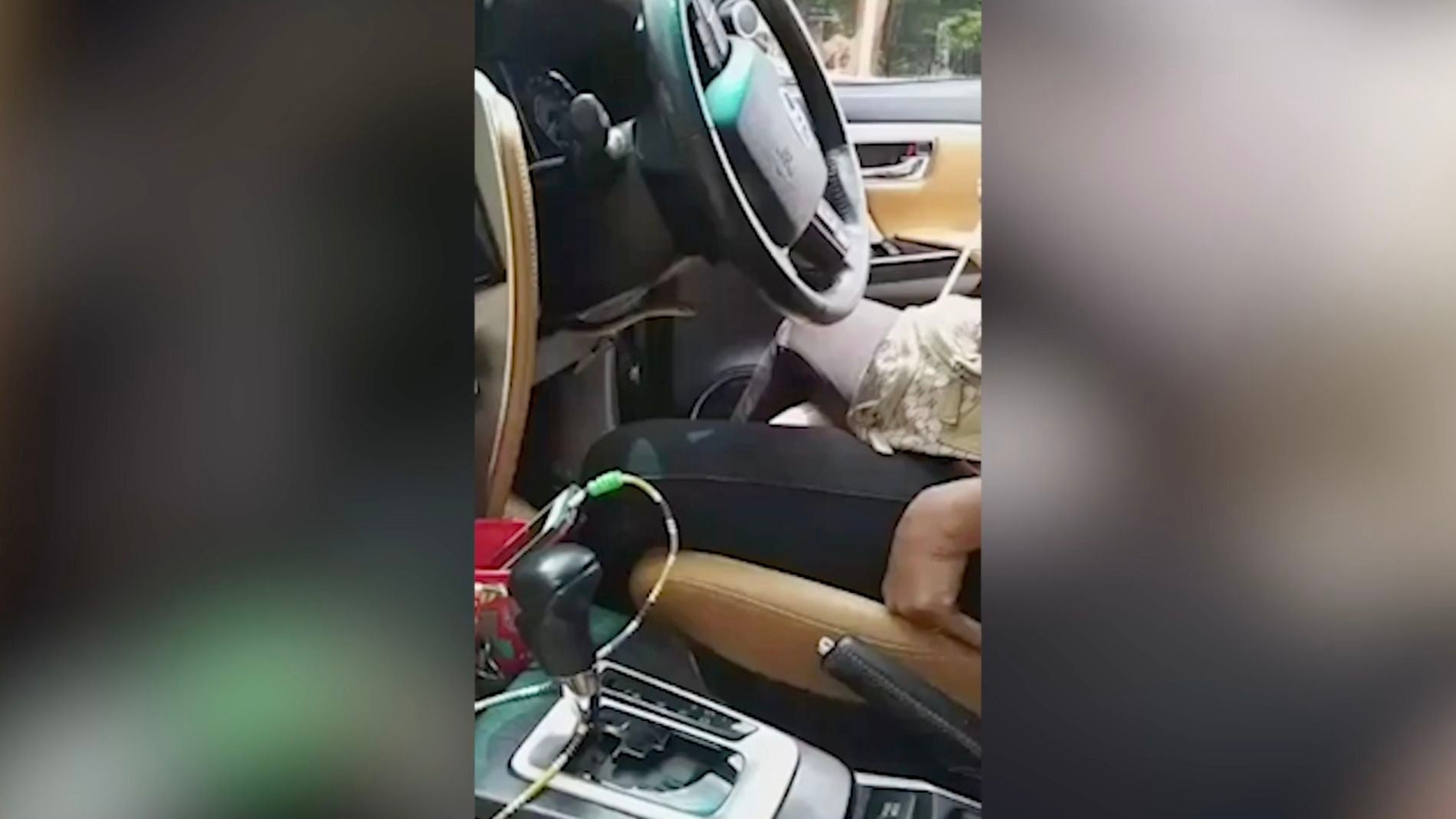 Serpiente en el coche