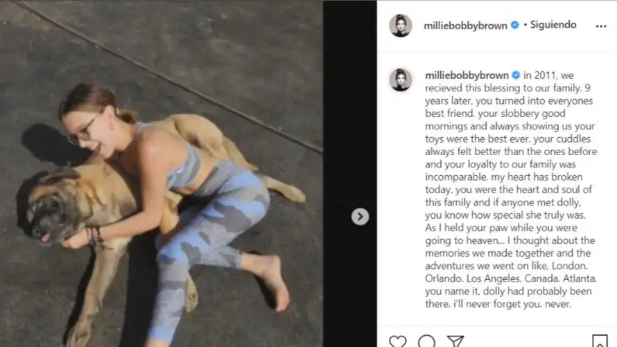 Millie Bobby Brown junto a su perrita Dolly en el vídeo que ha publicado en Instagram 