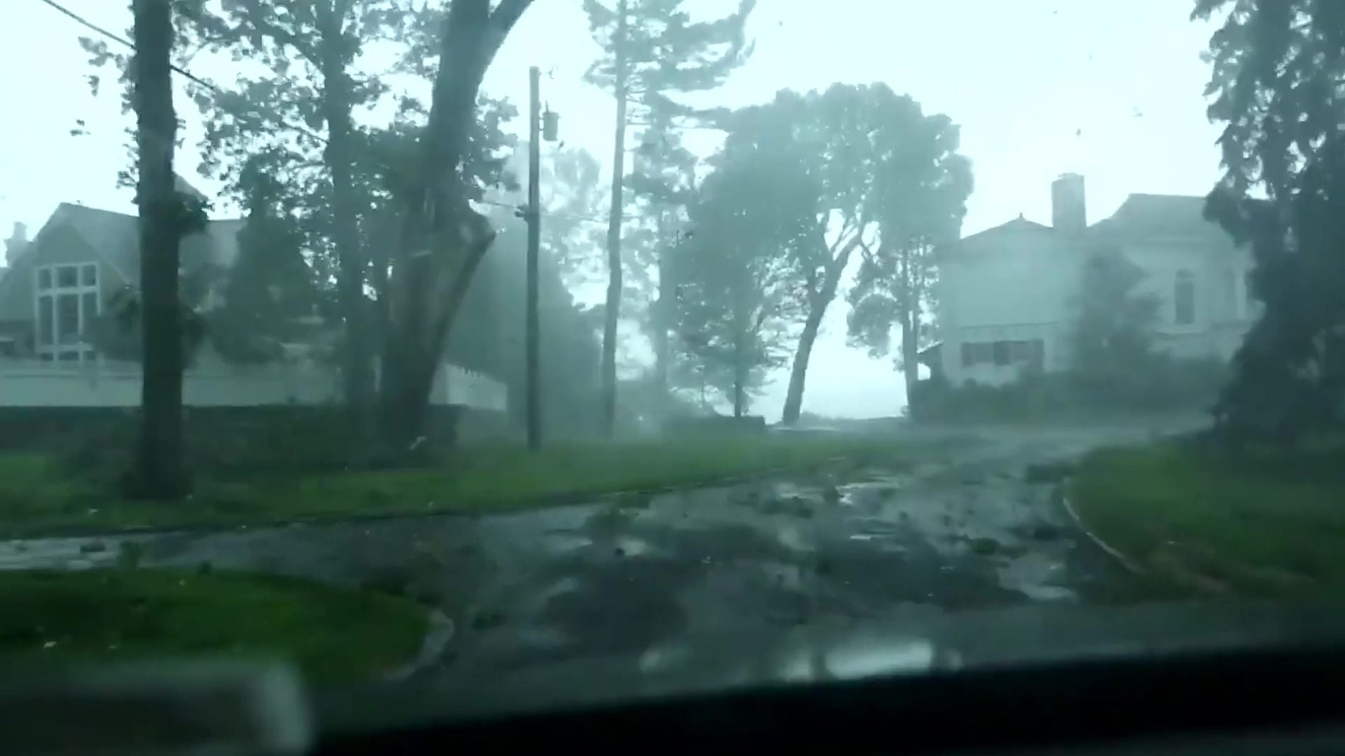 Un &aacute;rbol cae sobre el autom&oacute;vil de un hombre en Estados Unidos