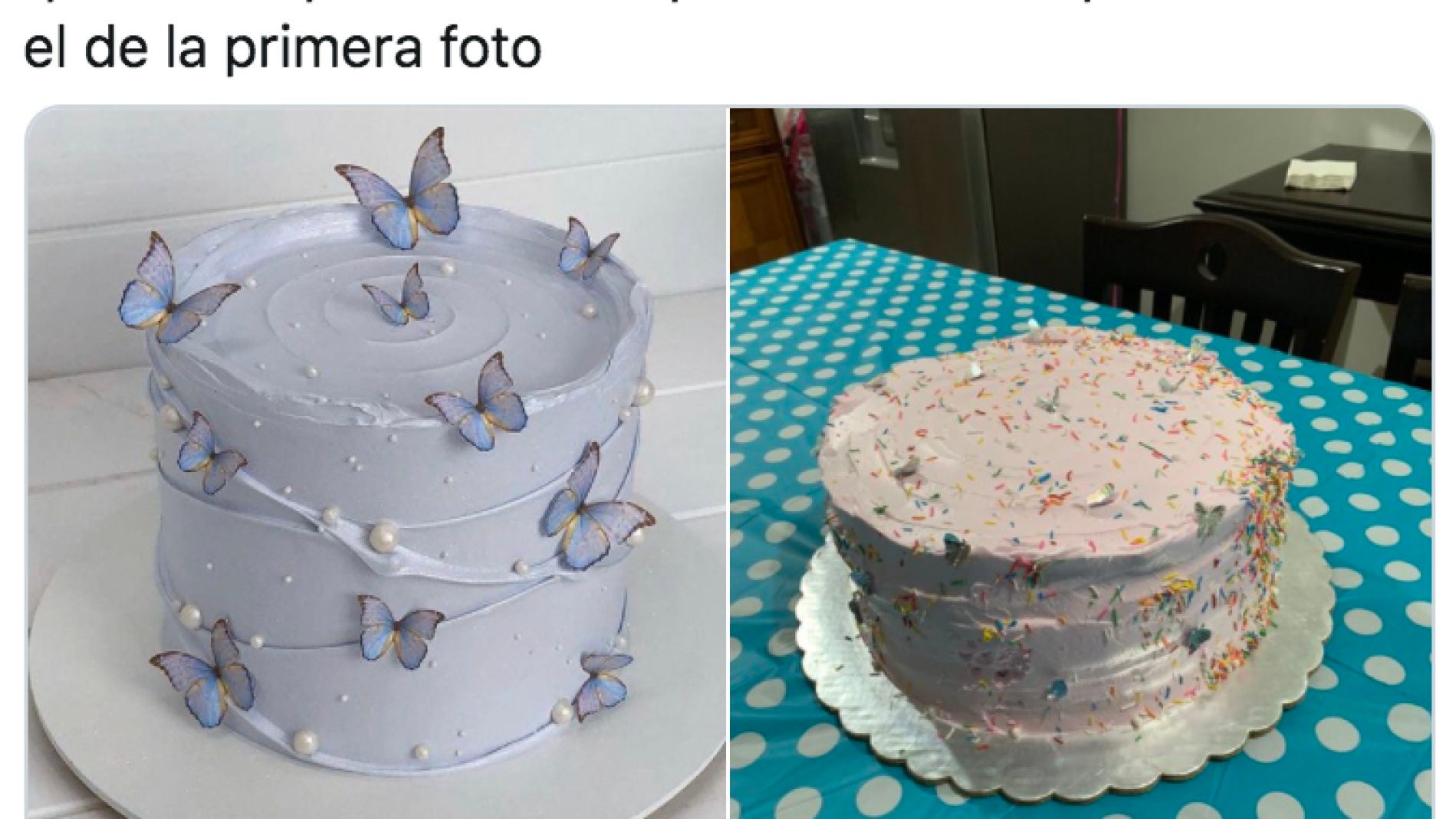Twitter de @ximenapellegri1