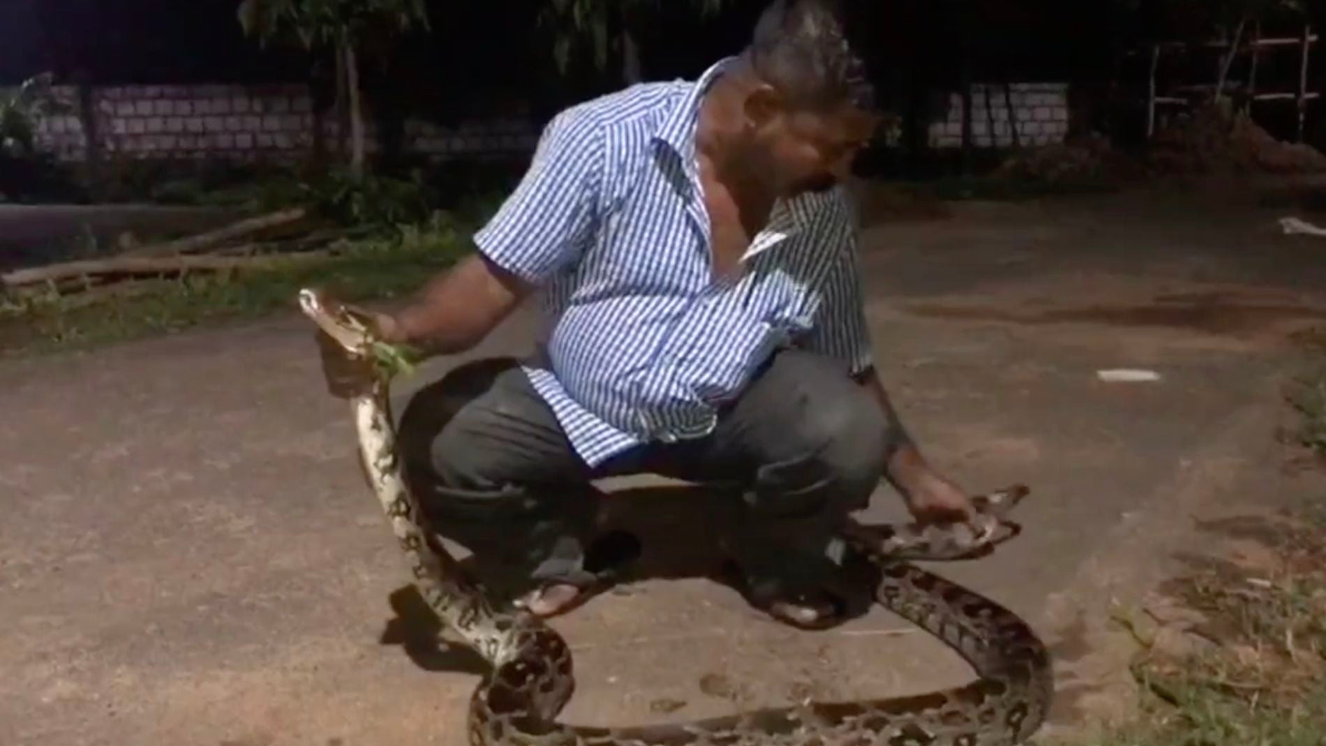 Rescatan una pit&oacute;n de casi tres metros en un colegio