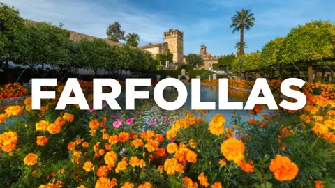 Palabras cordobesas Palabras cordobesas