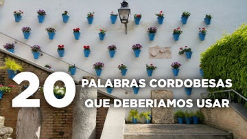 Palabras cordobesas