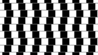 19 ilusiones ópticas que harán que no vuelvas a fiarte de tus propios ojos