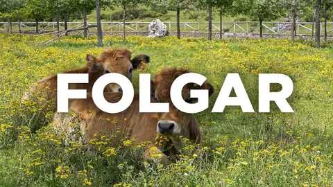 Palabras asturianas Palabras asturianas