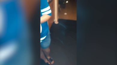 VÍDEO: Una familia graba al fantasma de su perro fallecido en cámara