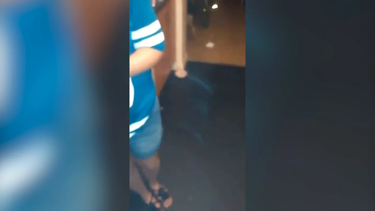 VÍDEO: Una familia graba al fantasma de su perro fallecido en cámara