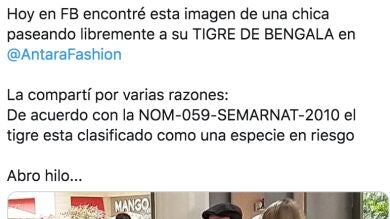 Indignación en redes por una mujer paseaba un cachorro de tigre en un centro comercial de México 