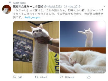 Twitter de @miyabi_2222