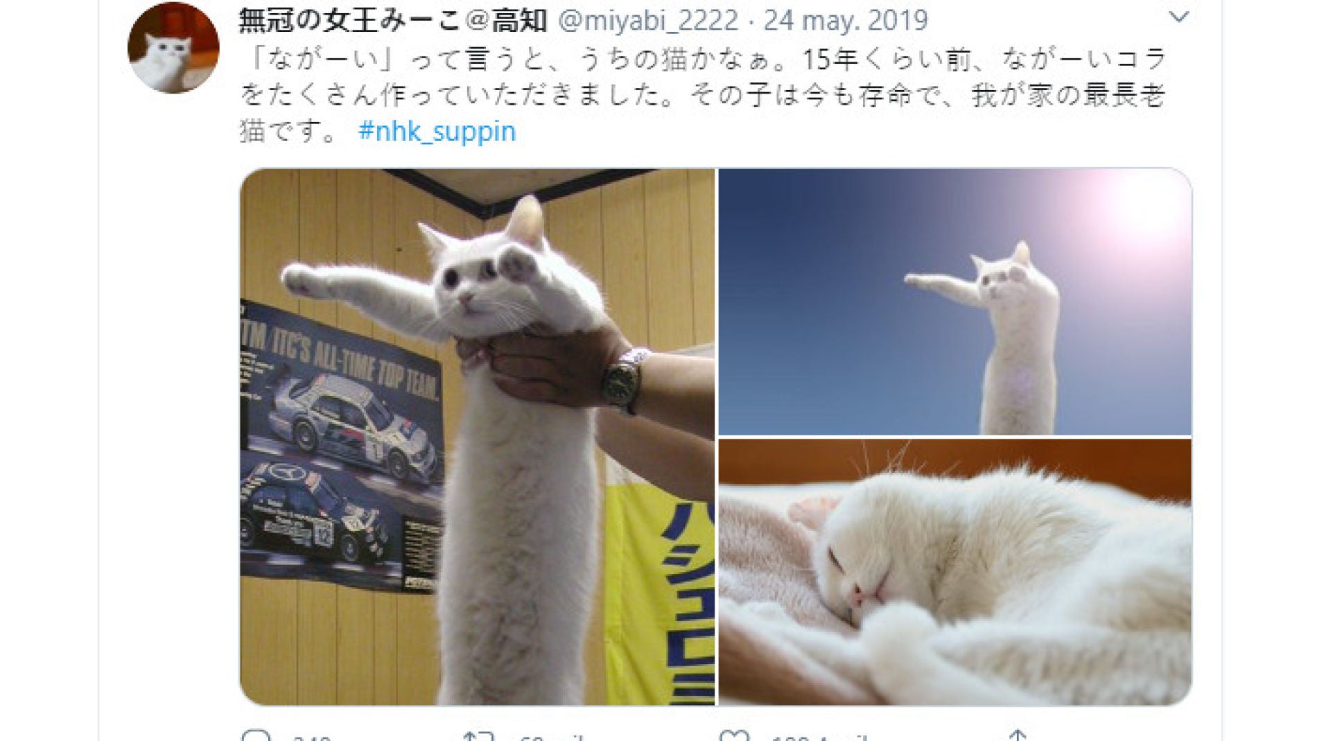 Twitter de @miyabi_2222