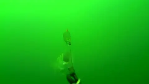 Un pez gigantesco emerge de las profundidades para devorar el cebo de un barco pesquero Un pez gigantesco emerge de las profundidades para devorar el cebo de un barco pesquero